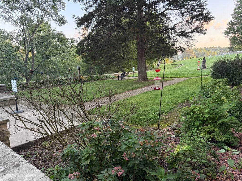 Garden path lined with shrubs, hummingbird feeders visible along the walkway at dusk