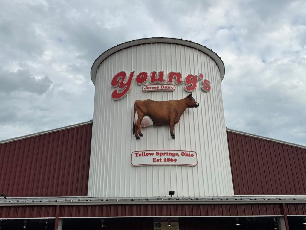 The white silo at Young's Jersey Dairy against an overcast sky, with the Young's script logo, a life-size model of a brown Jersey cow mounted on the wall, and a sign reading Yellow Springs, Ohio, Est 1869.
