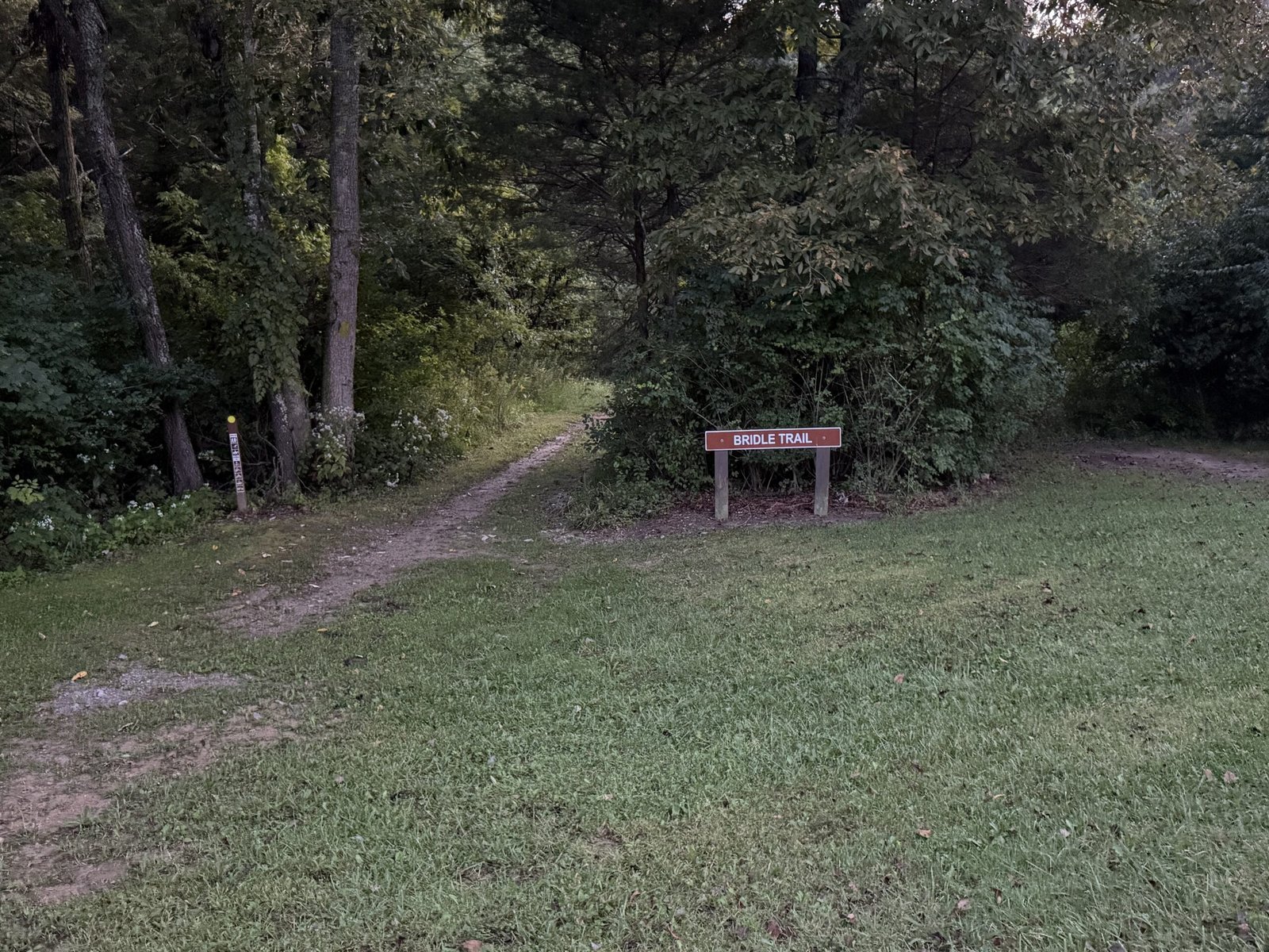 A narrow dirt path leading into the woods beside a low wooden sign reading Bridle Trail