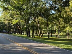 East Fork Campsites Main Dreg