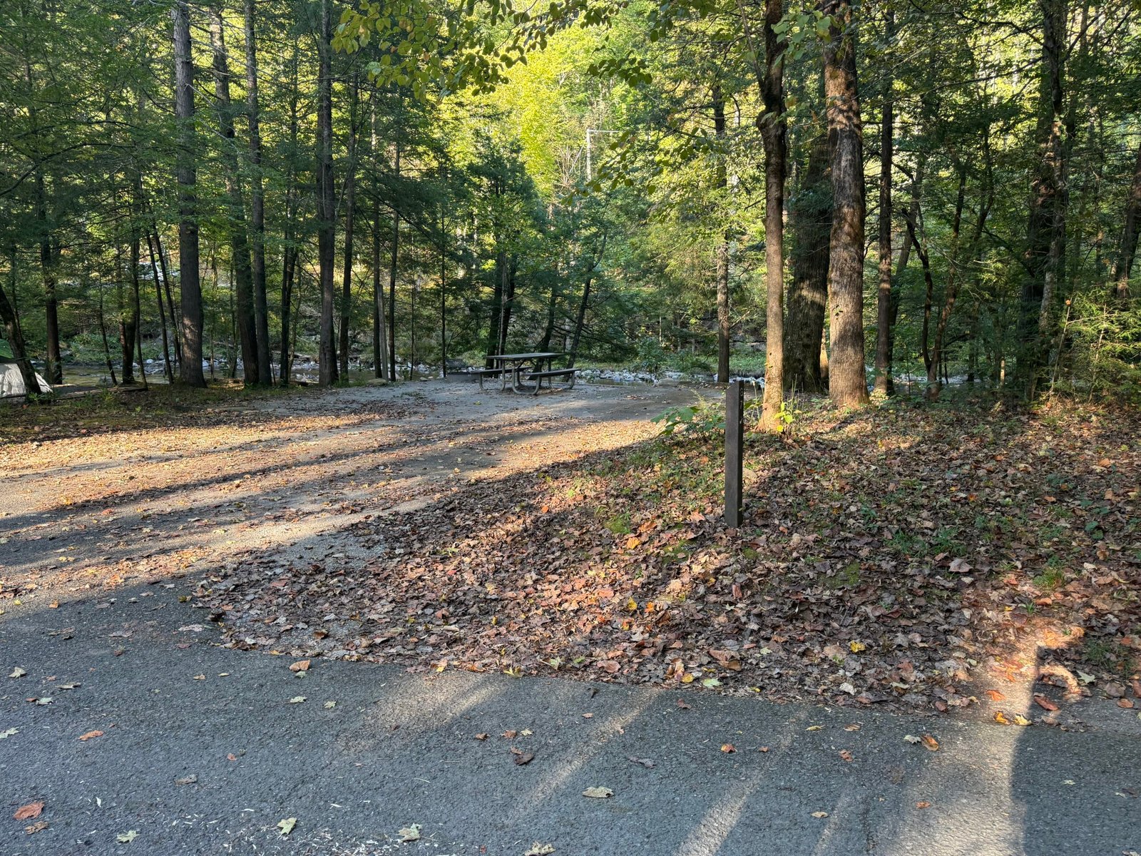 A streamside campsite at Elkmont with a picnic table on a gravel pad beneath tall trees, the water just beyond