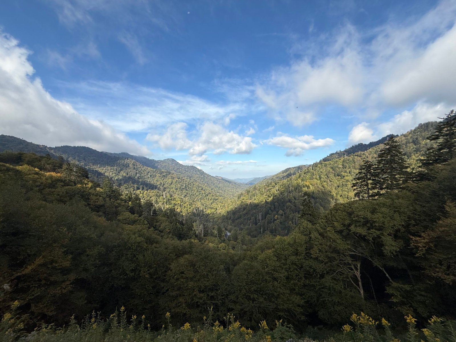 A forested mountain valley seen from Newfound Gap Road, ridges fading into blue haze under scattered clouds